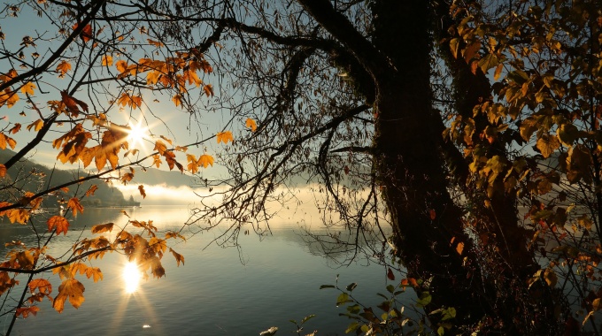 Vitamín D si počas jesene a zimy pravidelne dopĺňajte!